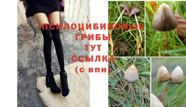 СК Гусь-Хрустальный