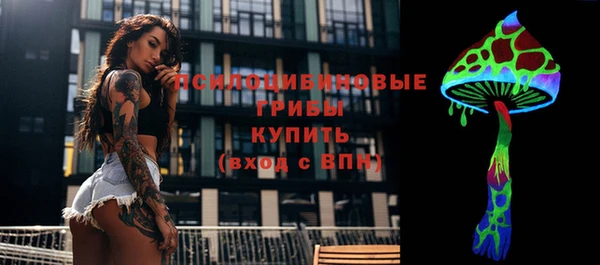 не бодяженный Гусиноозёрск