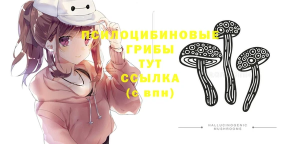 не бодяженный Гусиноозёрск