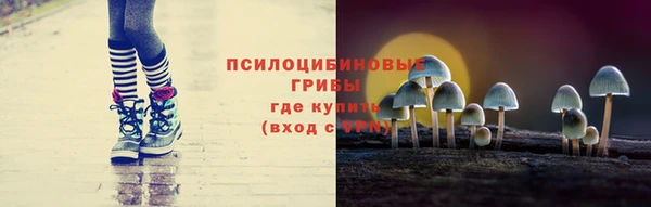 СК Гусь-Хрустальный