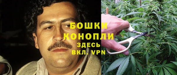 прущий лед Горняк