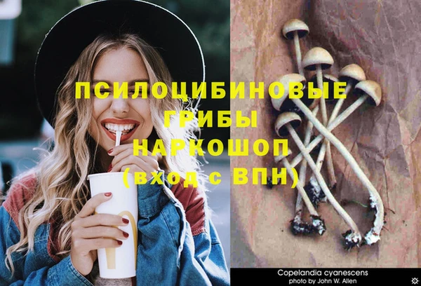 прущий лед Горняк