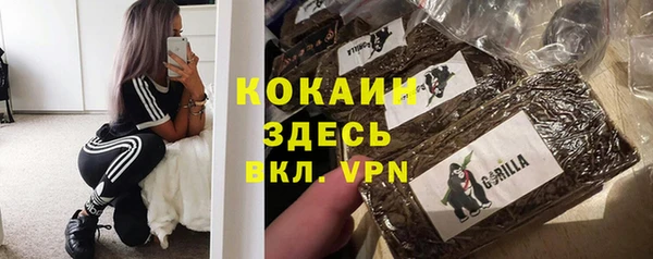СК Гусь-Хрустальный