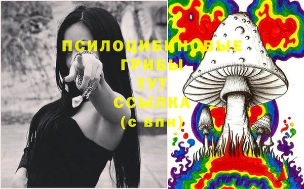 СК Гусь-Хрустальный