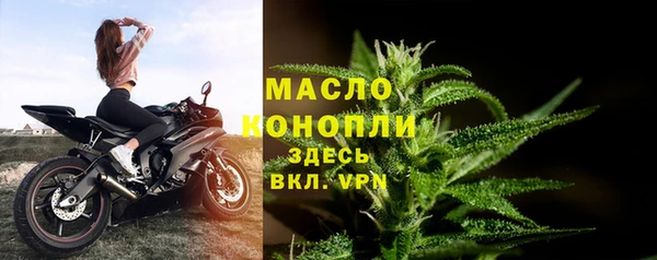 прущий лед Горняк