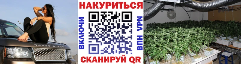 МАРИХУАНА VHQ даркнет какой сайт Красноярск